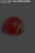 Pflaume
