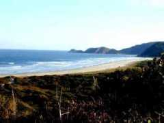 ilhadomelonline.com.br Pgrande