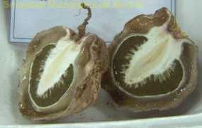 Phahad