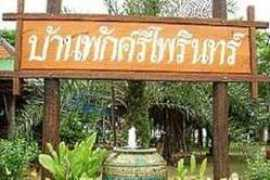 hotsia.com Phairin