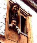 myhimalayas.com Phalla