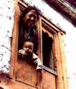 myhimalayas.com Phalla
