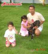 e-greatdane.com Phandee