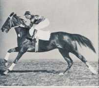 spiletta.com Pharlap