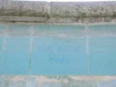 poolrider.com Phaven