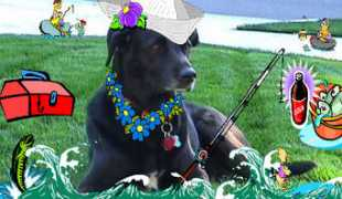 greetlets.com Pheebe
