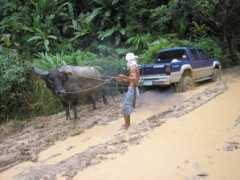 hobotraveler.com Philippino