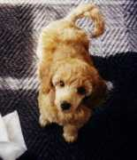 kenneloldhouse.weebly.com Philora