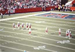 nefans.com Phins