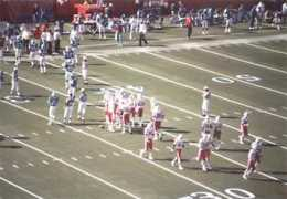 nefans.com Phins