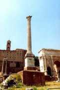 Phocas