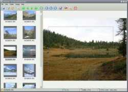 downloadfreeware.nl Phorest