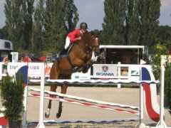 tarpan.cz Phorie