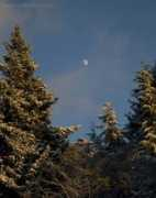Photojournal