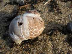 panoramio.com Phrost