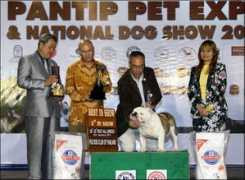 thailanddogshow.com Phusit