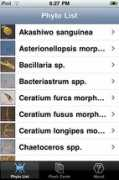Phyto