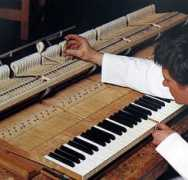 pianos.cz Pianin