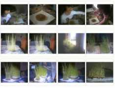 descrittiva.it Piantine