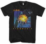 viewposters.com Pibm