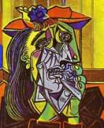 grenswetenschap.nl Picasso