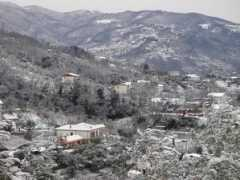 panoramio.com Piccarda
