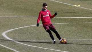 Picchia
