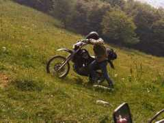 Piccole