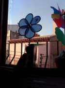 Pichi