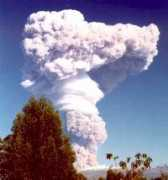 doubledeckerpress.com Pichincha