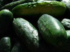 cookhereandnow.com Pickled