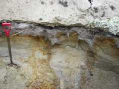 permafrost.gi.alaska.edu Picla