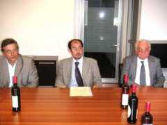 mesagnenews.com Picoco