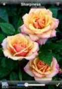 dodownload.com Picoli