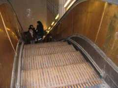 metro.zarohem.cz Picquet