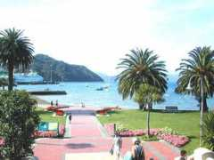 pigseye.com Picton