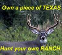 texasdeerhunter.com Pieceof