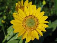 photos.orblogs.com Pieloch