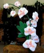 nonsolofiori.com Piersergio
