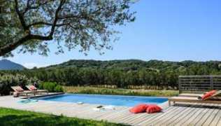 simpsontravel.com Pietru