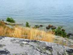 Pihlajasaari