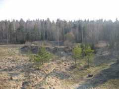 Piiri