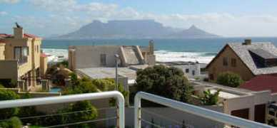 cape-town.at Pikkewyn