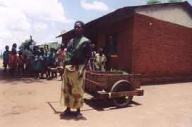 mercurypoisoningproject.org Pililani