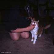 barbarascamera.com Pilling