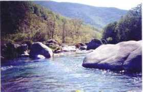 andarines.com Pilones