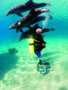 scubacat-idc.com Pilosof