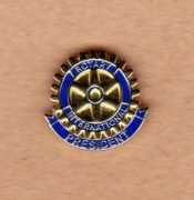 Pin