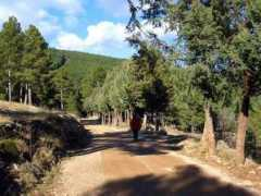 panoramio.com Pinada