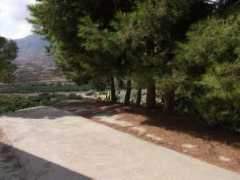 objetivoalmeria.ideal.es Pinares